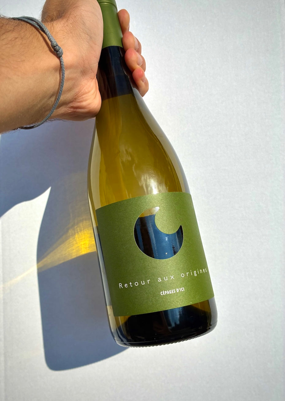 Vin Blanc Sec de Piquepoul Gris, Terret Gris et Carignan Blanc
