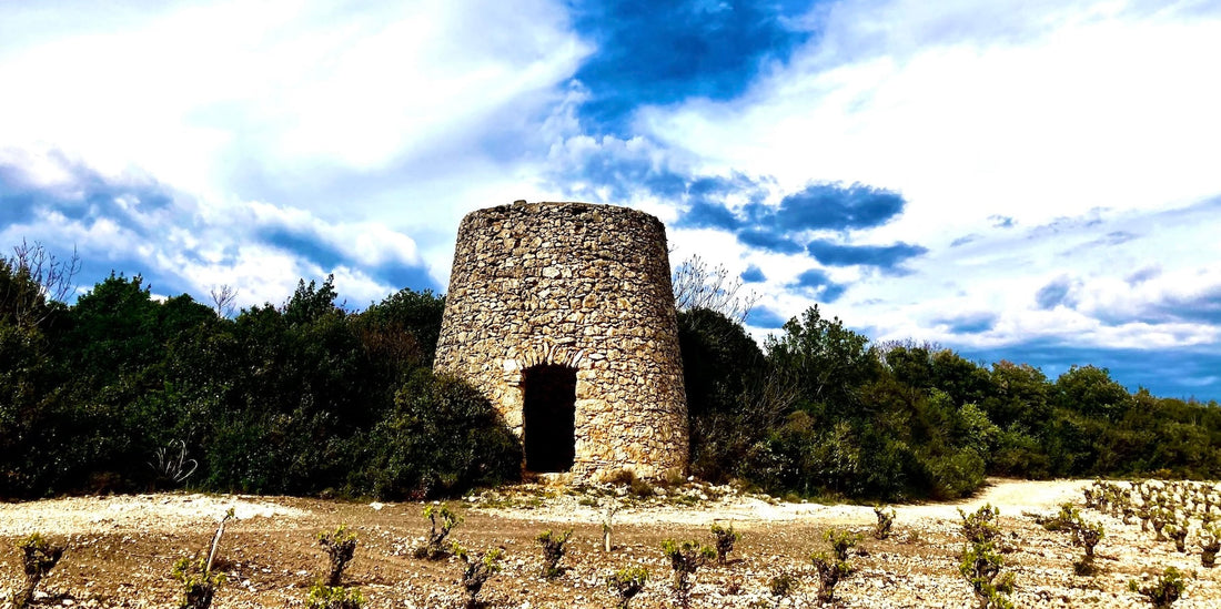 Découvrez l'AOP Muscat de Saint Jean de Minervois