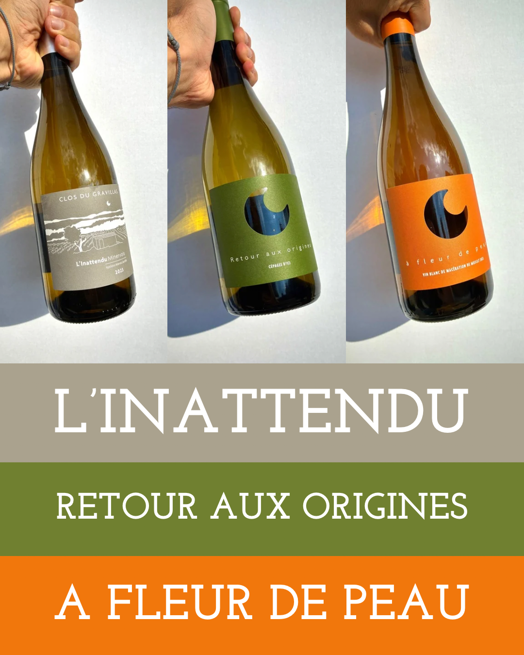 Blanc - Les 3 blancs du Gravillas