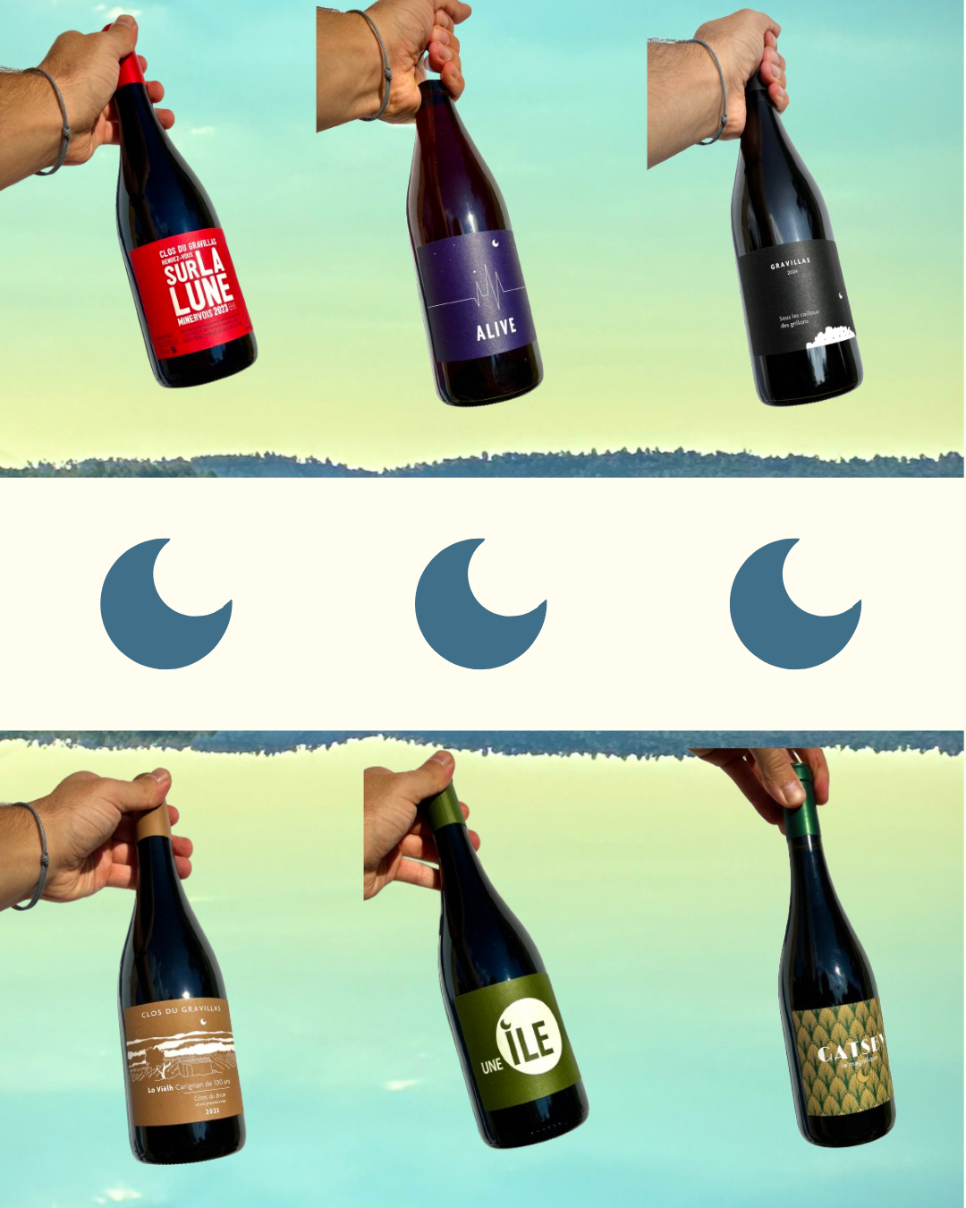Rouge - Carton de Degustation (x6)
