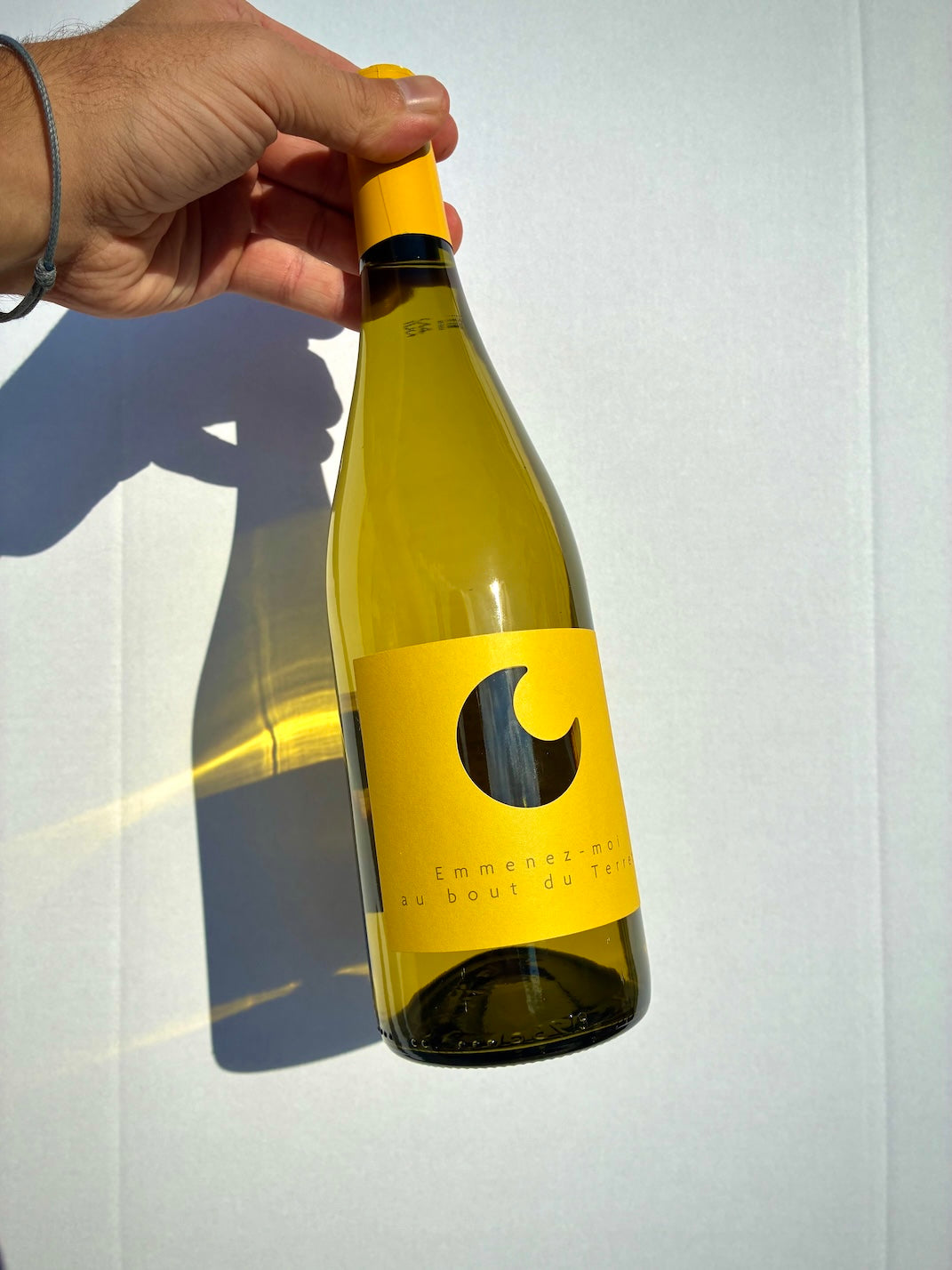 Vin Blanc Sec de Terret Gris